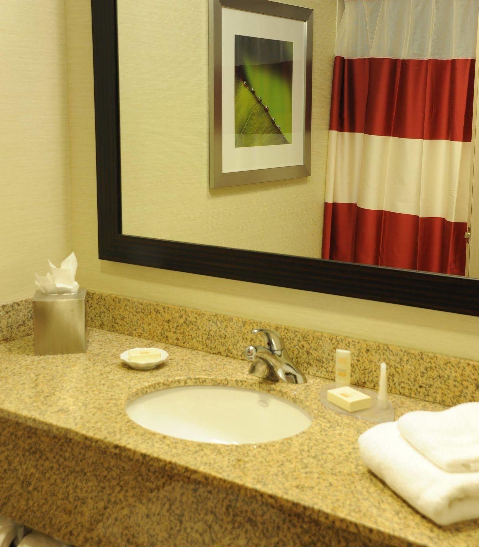 Fairfield Inn & Suites By Marriott Albany Airport Zewnętrze zdjęcie